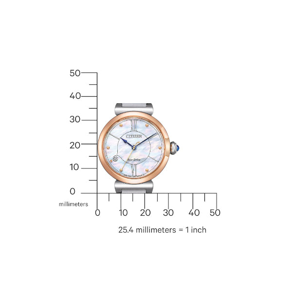 Citizen Eco-Drive EM1074-15D
